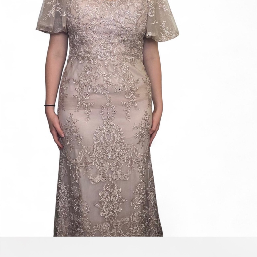 Cinderella Beige Embroidered Long Sleeve Dress
